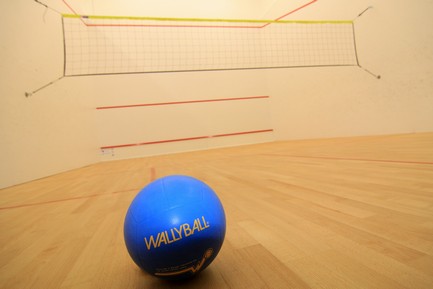 wallyball1