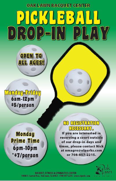 PickleBall Drop In Play 2019