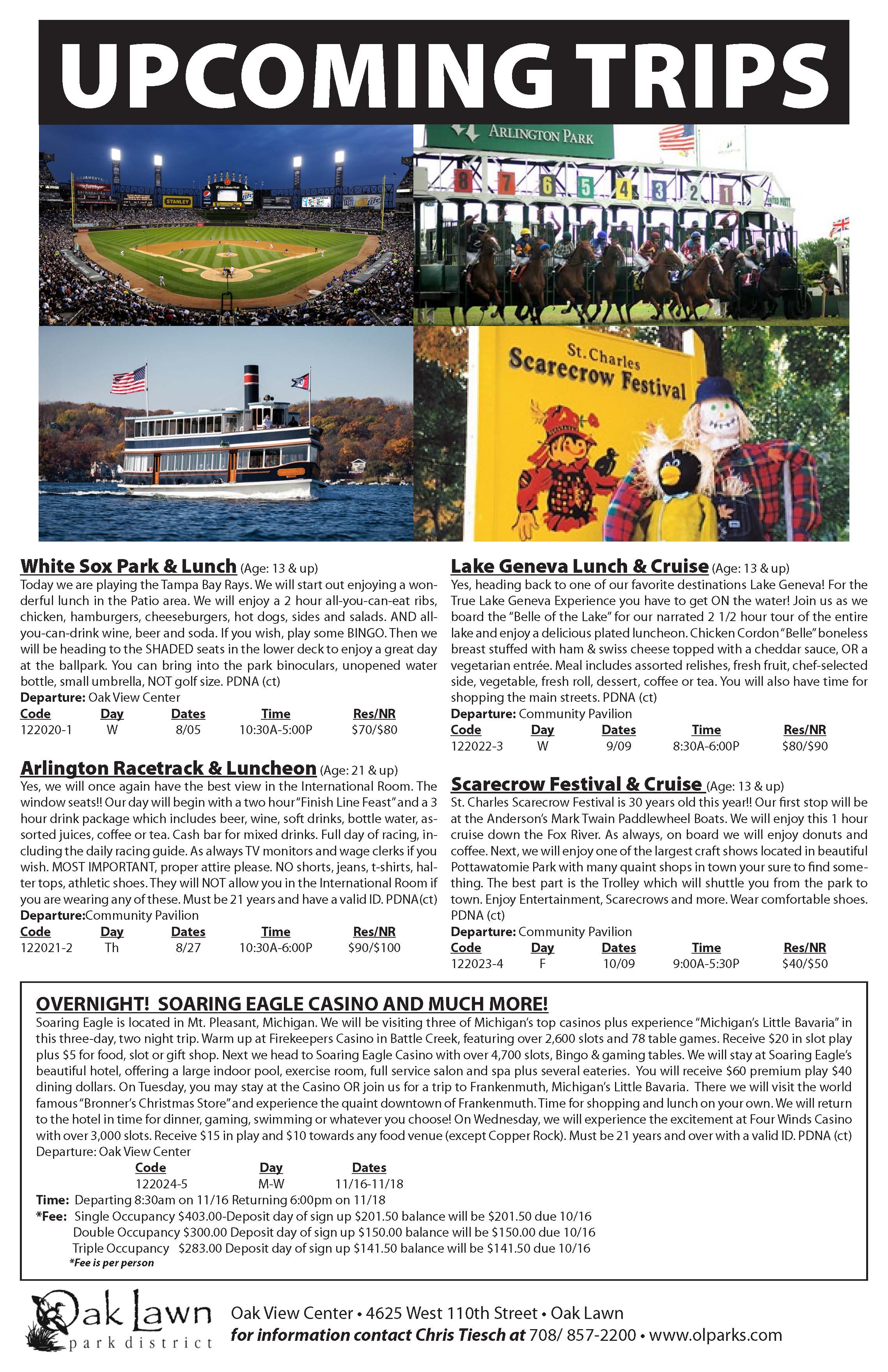 Summer Trip Poster 2015